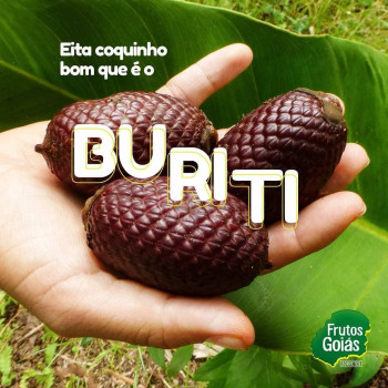 Frutos de Goiás - foto 3