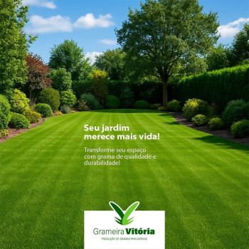 Grameira Vitória - Produção de Gramas para Jardim - foto 3