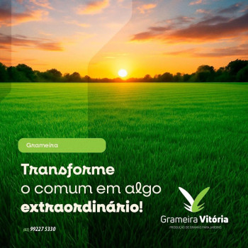Grameira Vitória - Produção de Gramas para Jardim - foto 4